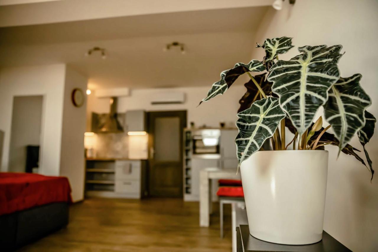 Podkrovni Studio Na Velkem Namesti S Wi-Fi Zdarma Hradec Králové Zewnętrze zdjęcie